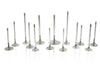 Ferrea F2430P fits Toyota Supra B58 3.0L 28.mm 5.96mm 99.8mm 21 Deg Tpr Flo S
