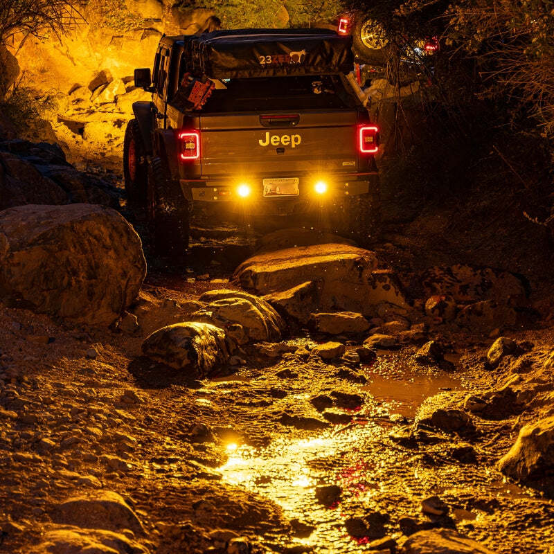 Nacho Offroad Technology NAC13U Nacho Lighting Quatro Flush Mount