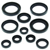 QuadBoss 564139 Qb Oil Seal Set
