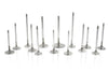 Ferrea F2430P-1 fits Toyota Supra B58 3.0L 28.mm 5.96mm 99.80mm Comp Plus Exh V