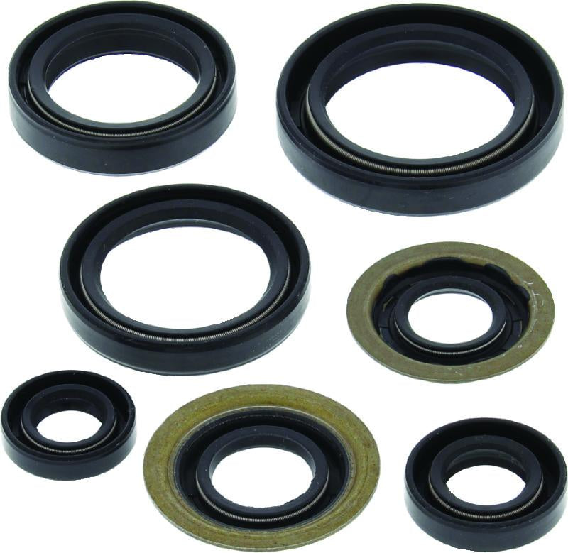 QuadBoss 564397 Qb Oil Seal Set