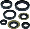 QuadBoss 564397 Qb Oil Seal Set