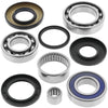 QuadBoss 413028 02-14 Suzuki LT-F250 Ozark Rear Differential Bearing & Seal Kit