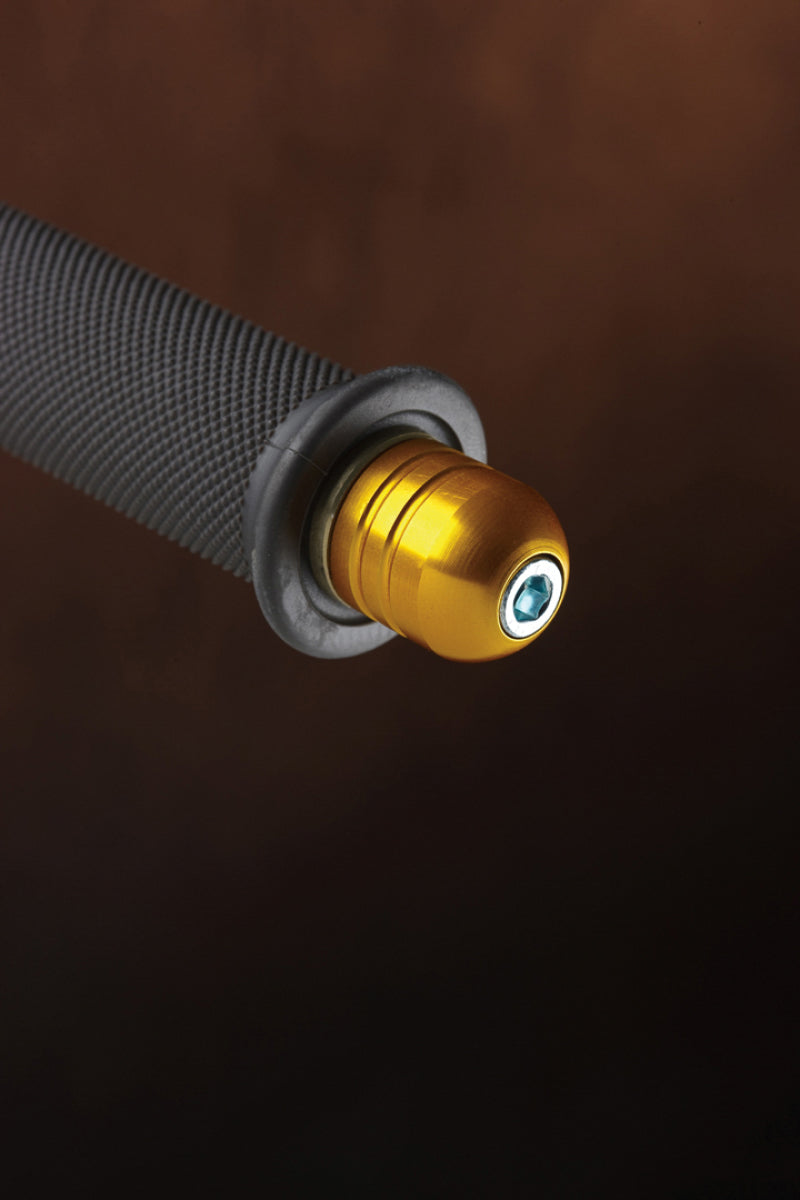 Renthal E189 fits End Plugs Grip - Gold