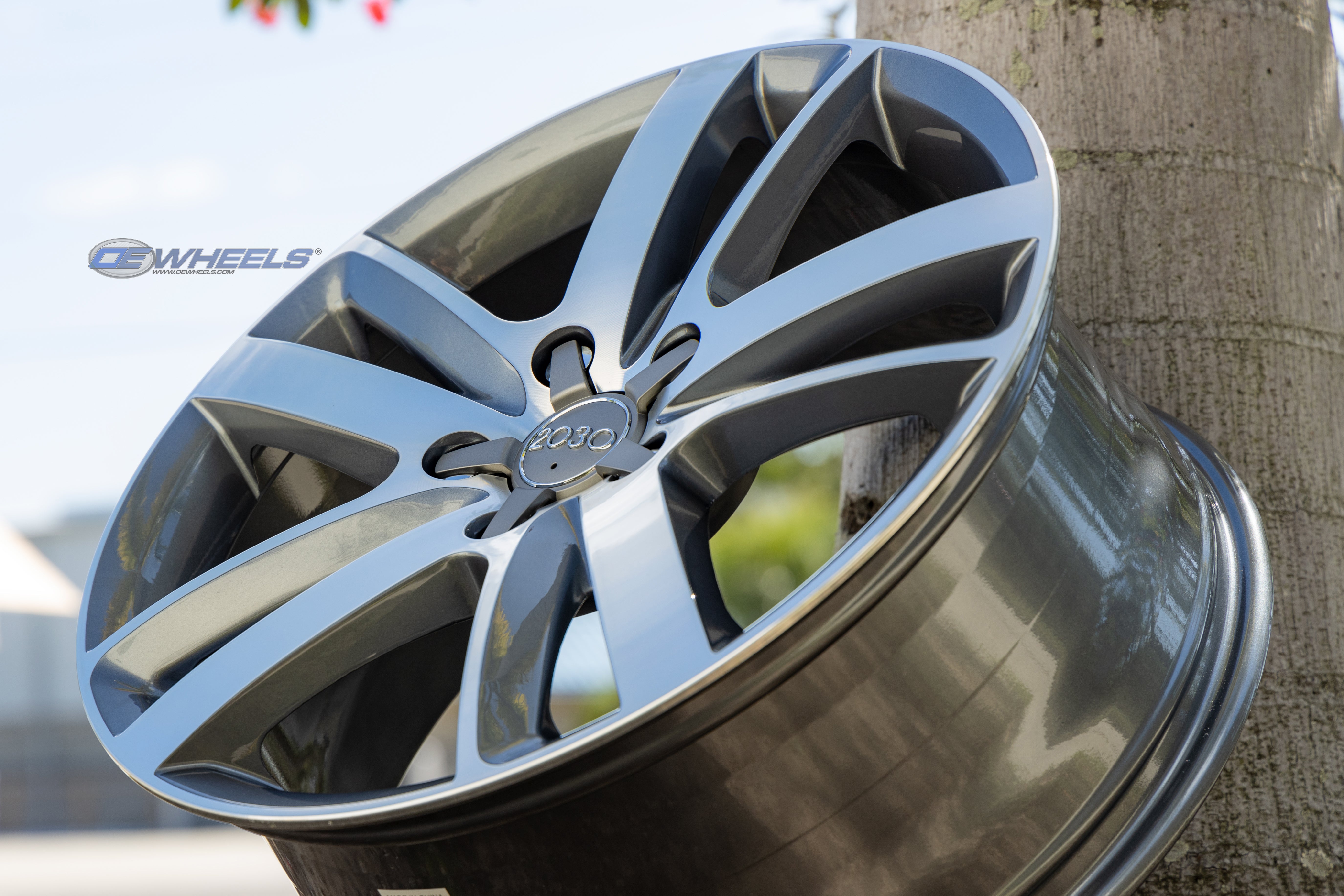 OE Wheels AU20-20090-5130-60MG 20" Replica AU20 fits Audi Q7 20x9 Machined