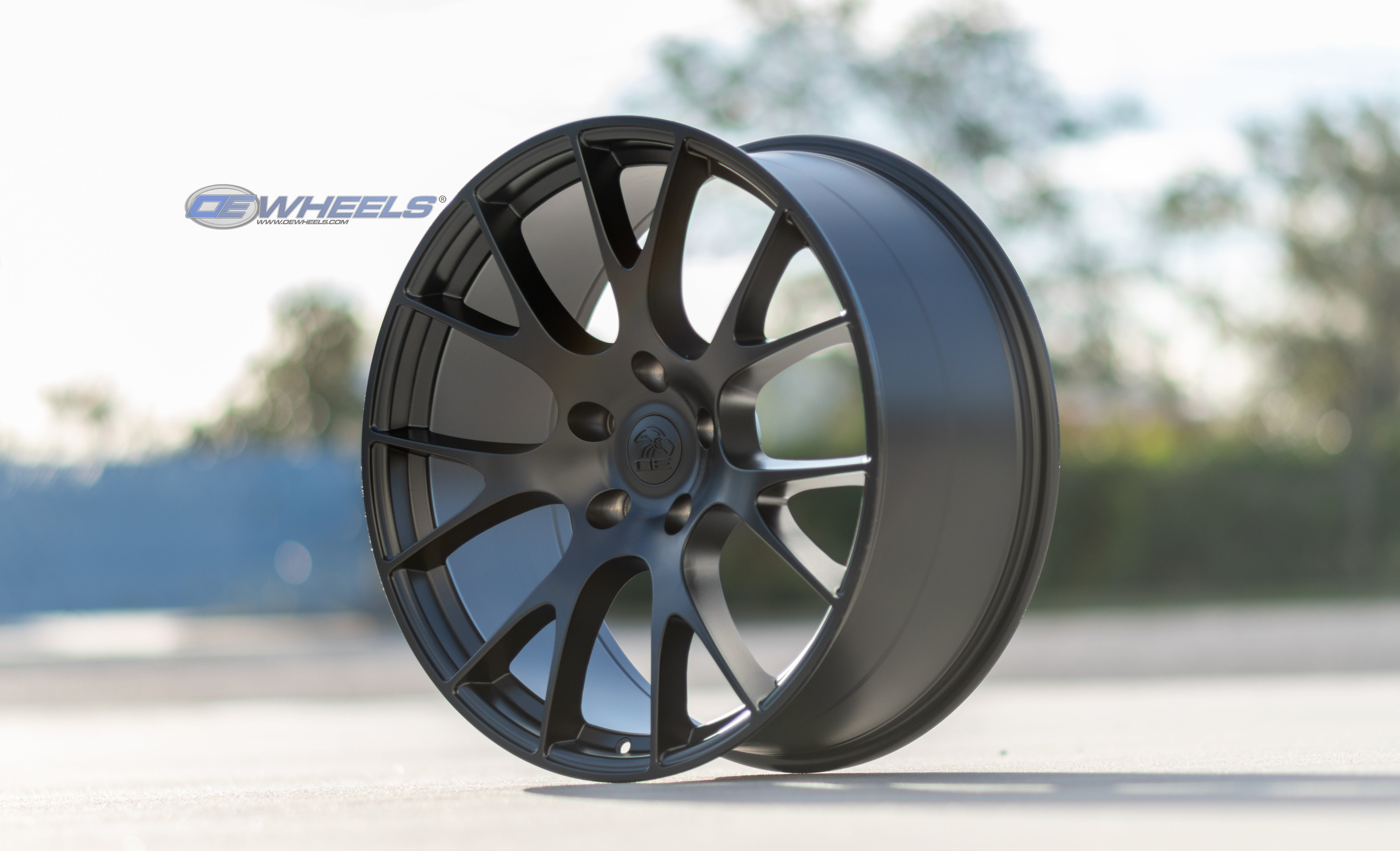 OE Wheels DG69-22100-5550-25B1 22" Replica fits Dodge RAM Hellcat 22x10 Black