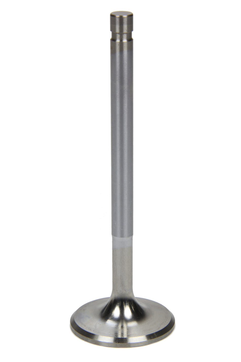FERREA F5080-1