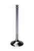 FERREA F6235-1