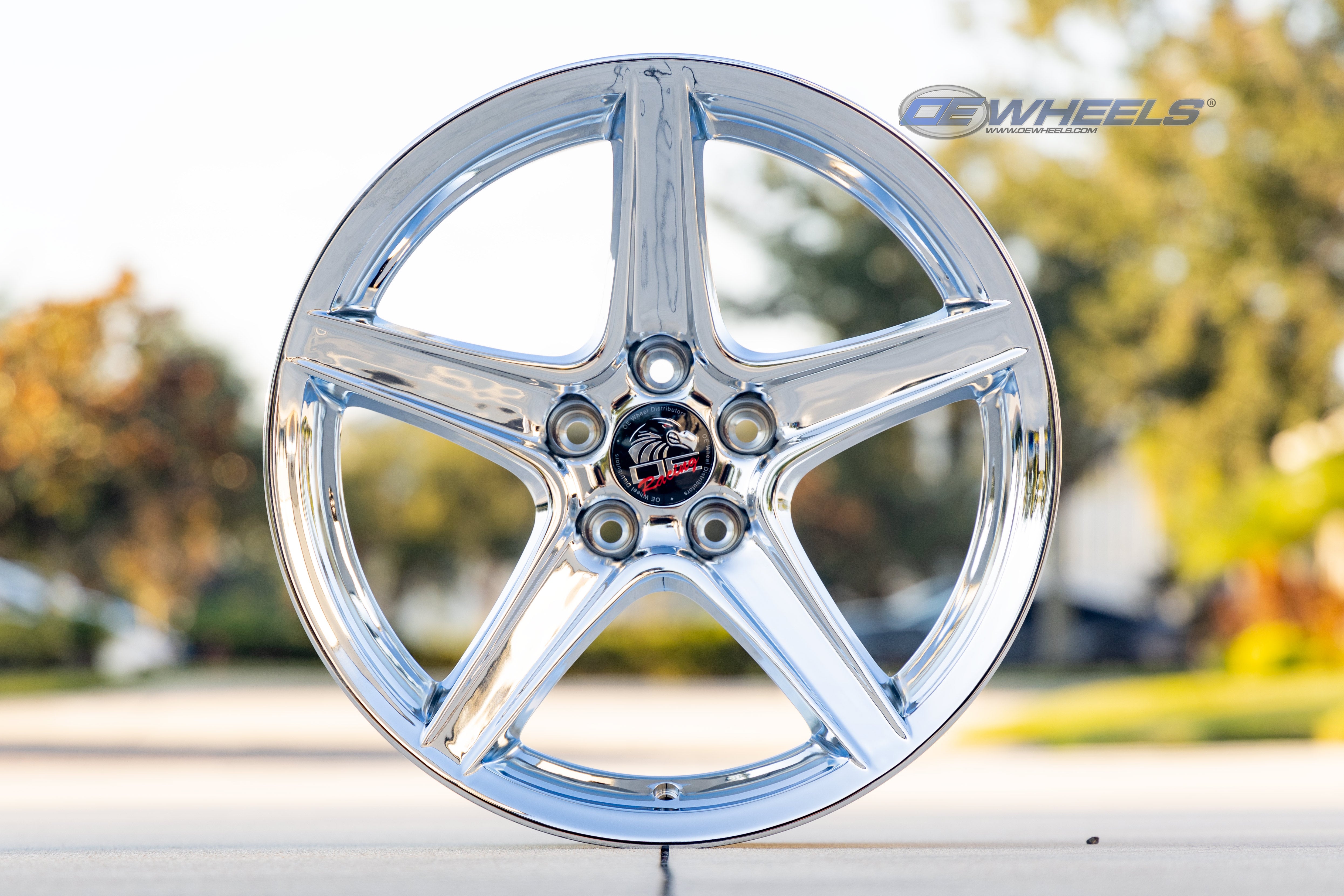 OE Wheels FR06B-18100-5450-22C 18" Replica FR06B fits Ford Mustang Saleen Chrome
