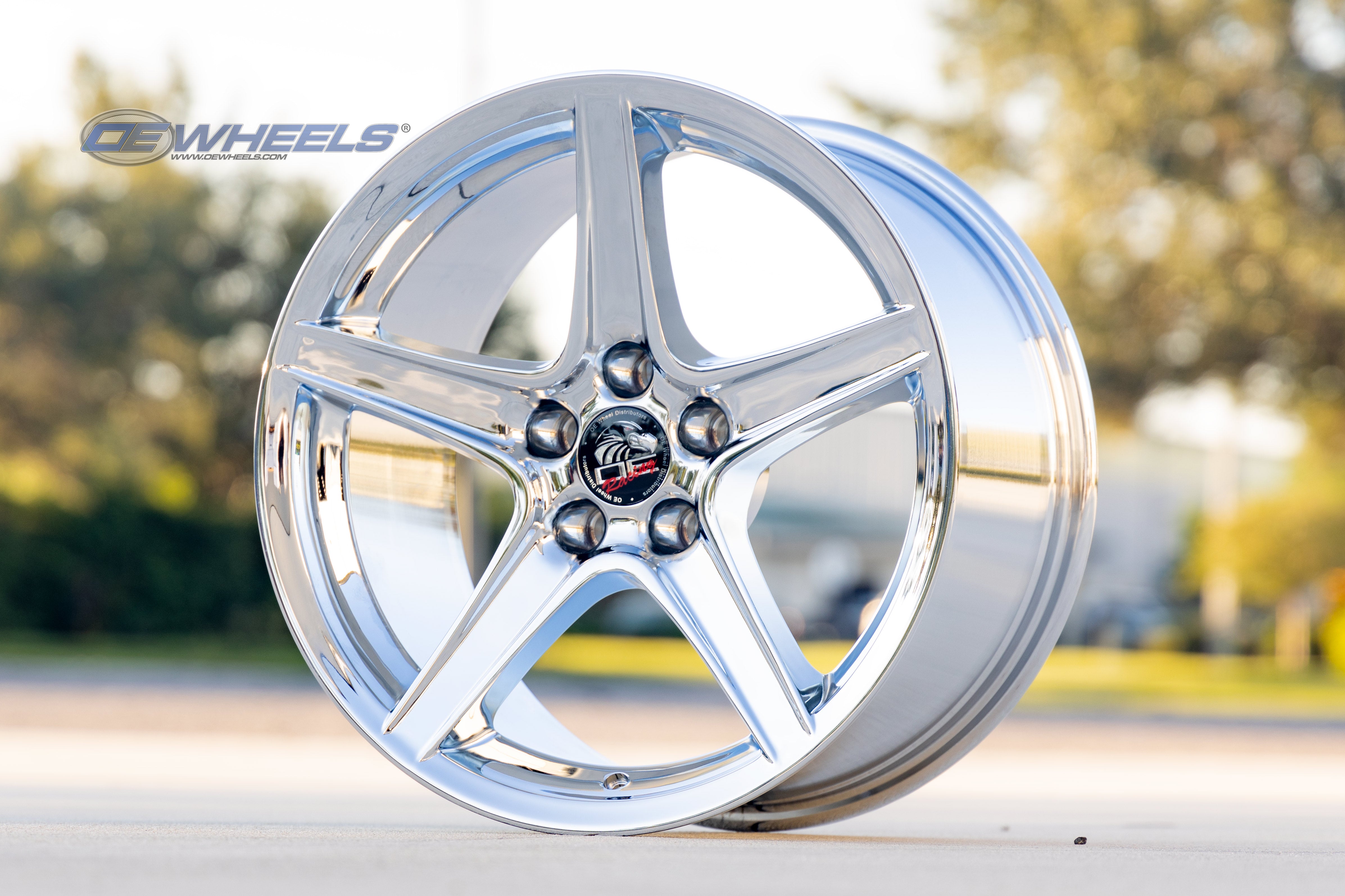 OE Wheels FR06B-18090-5450-24C 18" Replica FR06B fits Ford Mustang Saleen Chrome