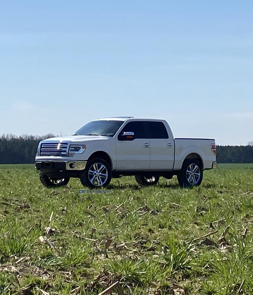 OE Wheels FR76-22090-6135-44C 22" Replica FR76 fits Ford F150 22x9 Chrome