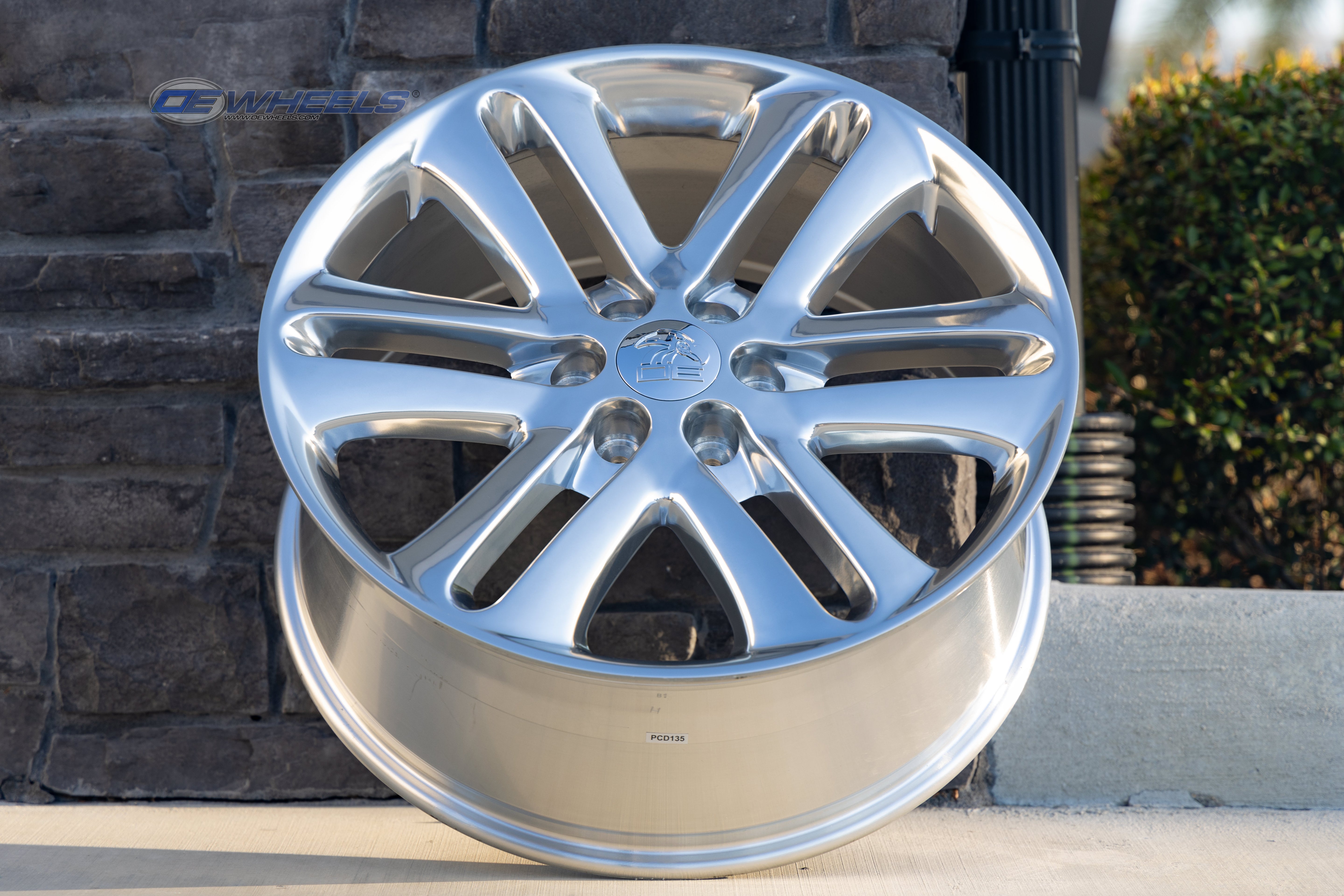 OE Wheels FR76-22090-6135-44P 22" Replica FR76 fits Ford F150 22x9 Polished