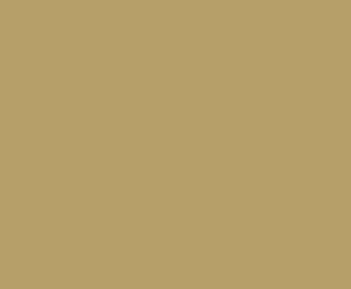 DICOR CORP DFII46T-16