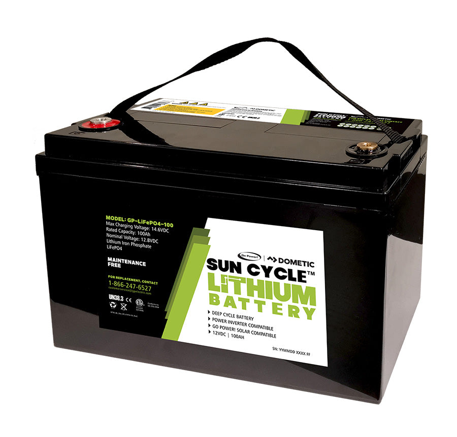 GO POWER GP-LIFEP04-100