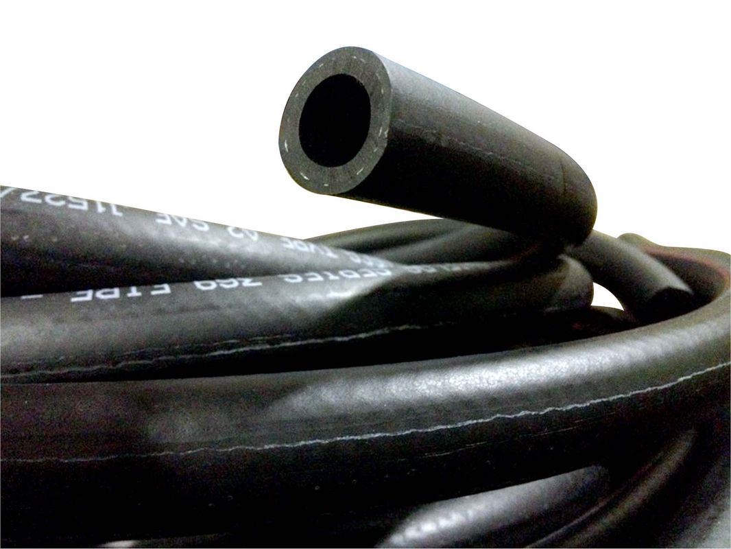 SIERRAMARINE 16-369-0586