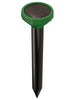 P3 INTERNATN P7912