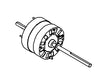 COLEMAN RVP 1468-3489