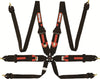 Racequip 854004 Black FIA CAMLOCK 6pt Pull Up Lap FHR