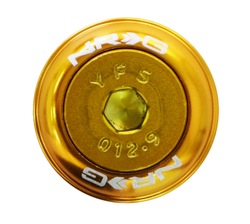 NRG FW-800RG FW-800RG Fender Washer Kit w/Color Matched M8 Bolt Rivets For