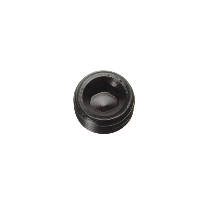 Russell 662053 Performance 3/8in Allen Socket Pipe Plug (Black)