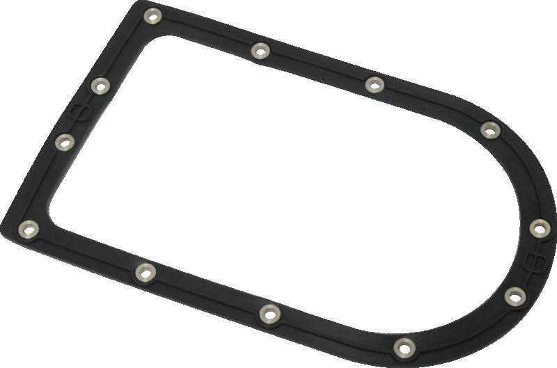 Twin Power 46170 fits 04-08 FXDWG 08-17 FXDF Fuel Pump Plate Seal Viton Replace