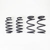 RS-R TL001TD 2017+ fits Tesla Model 3 (RWD) Down Sus Springs
