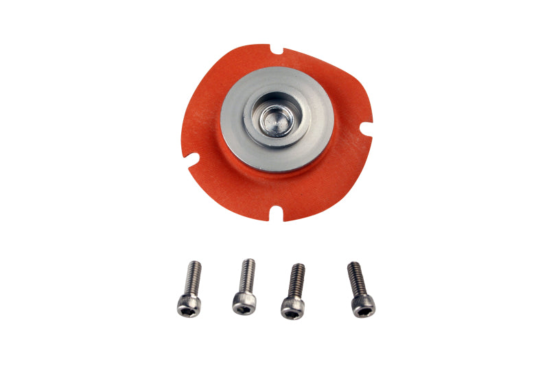Aeromotive 13006 Regulator Repair Kit (for 13202/13113/13209/13214/13212)
