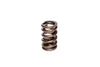COMP Cams 983-1 Valve Spring 1.250in Ovate Wir