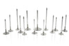 Ferrea F2422P fits Chrysler Big Block 2.32 Head 5/16 Stem Dia Competition Plu