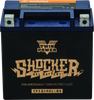 Twin Power 781232 YTX-14L Shocker Gel Battery Replaces H-D 65958-04 220 CCA