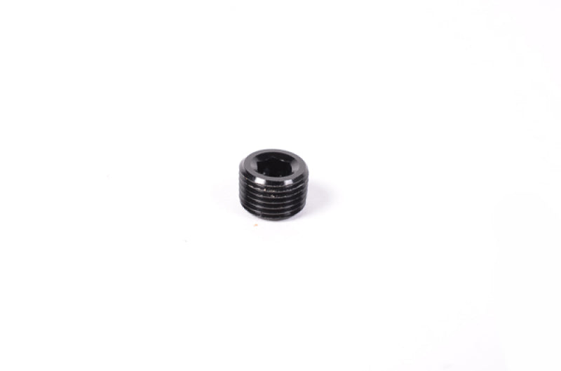 Radium Engineering 14-0172 1/8in NPT Plug