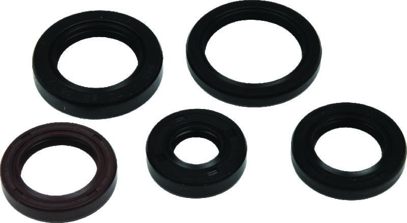 QuadBoss 564785 Qb Oil Seal Set