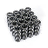 Skunk2 Racing 311-05-1345 Skunk2 Alpha Series fits Honda D Series VTEC Valve Spring Set
