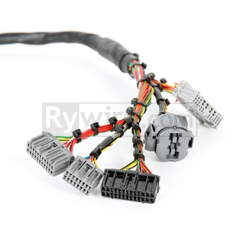 Rywire RY-B2-MILSPEC fits Honda B-Series Mil-Spec Eng Harness w/OBD2 Dist/Inj/Alt & OBD1 92-95 ECU Plugs (Adapter Req)