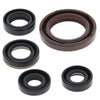 QuadBoss 564175 06-09 Suzuki LT-R450 QuadRacer Oil Seal Set