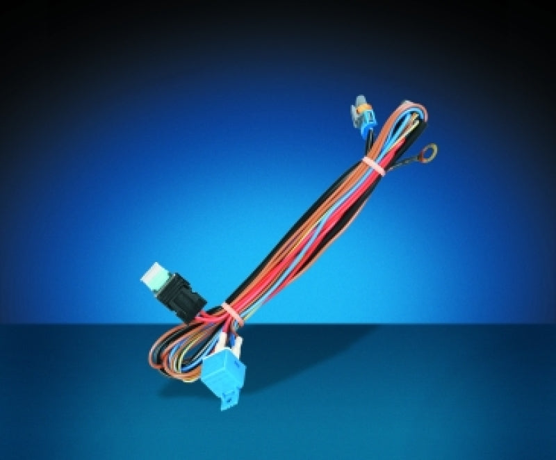 Hella 149147001 Wiring Harness Kit 3.1M PKRD2 12V with Fuse & Relay