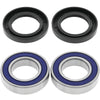 QuadBoss 413364 2008 Arctic Cat 50 2x4 Rear ATV Wheel Bearing & Seal Kit