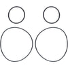 Camburg CAM-020125 2.25/2.50 Rear Hub O-ring Kit