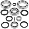 QuadBoss 413025 fits Kawasaki KFX700 Rear Differential Bearing & Seal Kit