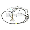 Rywire RY-K2-MILSPEC-05-06 05-06 fits Honda K-Series Mil-Spec Engine Harness w/OBD2 05-06 RSX K20 Sensors (Front VSS)