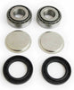 EPI WE347056 85-20 fits Honda TRX250-500 /06-15 Arctic Cat 250-300 Swing Arm