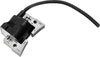 EPI GC100 Ignition Coils Golf Cart