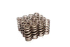 COMP Cams 26113-16 Valve Springs fits Ford 4.6L 2 Valve