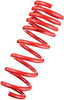 Tanabe TDF185 DF210 Springs 2015 fits Honda Fit 1.5L / 2.0L
