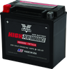 Twin Power 485002 fits YTX14 High Performance Battery Replaces H-D 65948-00 Mad