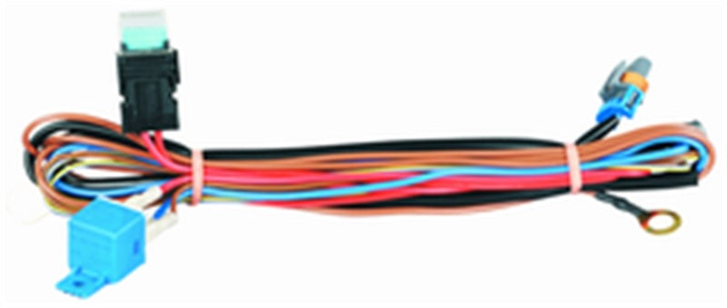 Hella 149147001 Wiring Harness Kit 3.1M PKRD2 12V with Fuse & Relay
