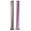 Moroso 22852 2 Piece Oil Pump Spring Kit (For 22171/22192/Spur Gear fits SBC)