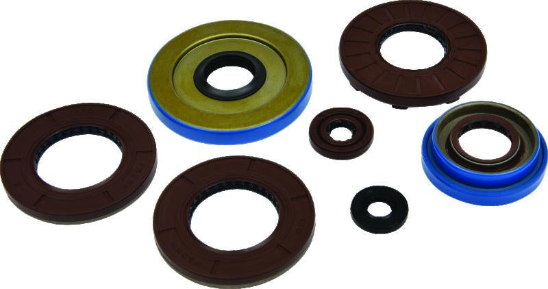 QuadBoss 564594 Qb Oil Seal Set