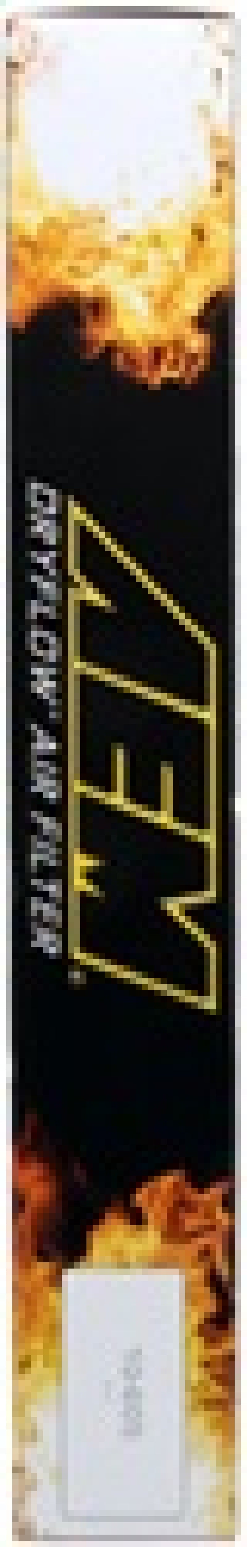 AEM 28-20888 05-09 VW Passat / 06-08 VW GTI DryFlow Air Filter