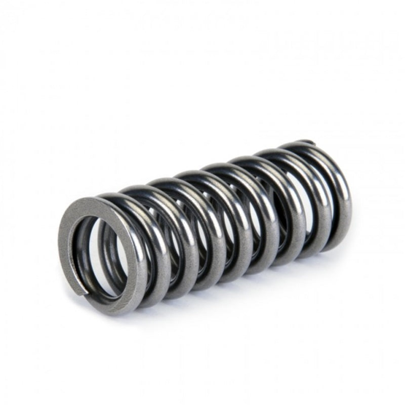 Skunk2 Racing 311-05-1345 Skunk2 Alpha Series fits Honda D Series VTEC Valve Spring Set